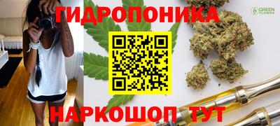ПСИЛОЦИБИНОВЫЕ ГРИБЫ Среднеуральск