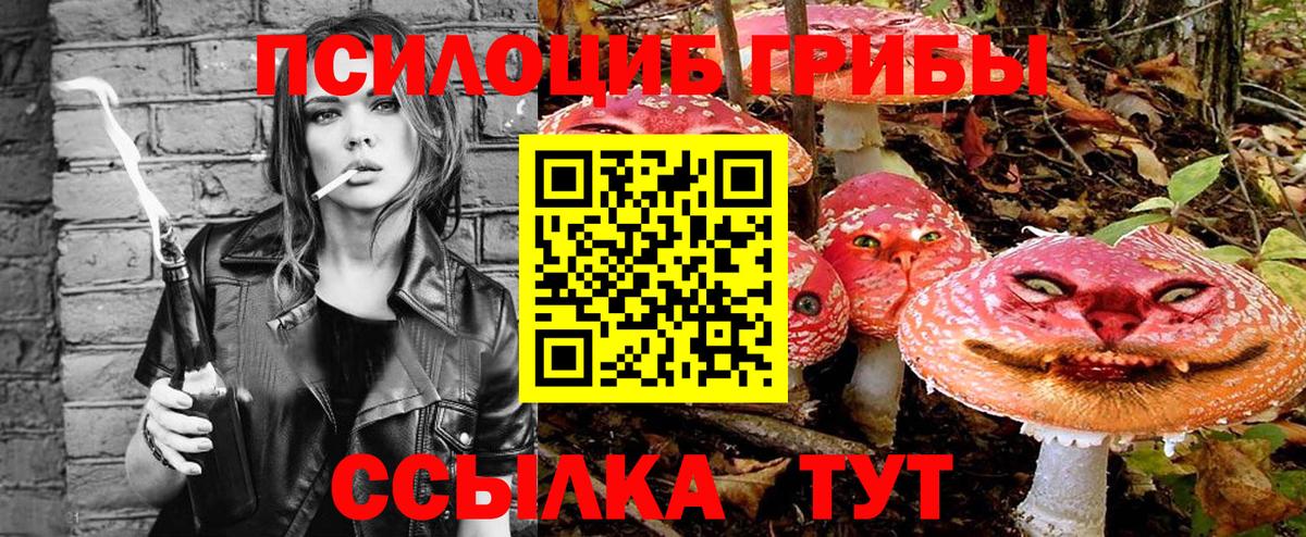 Псилоцибиновые грибы мухоморы Пенза