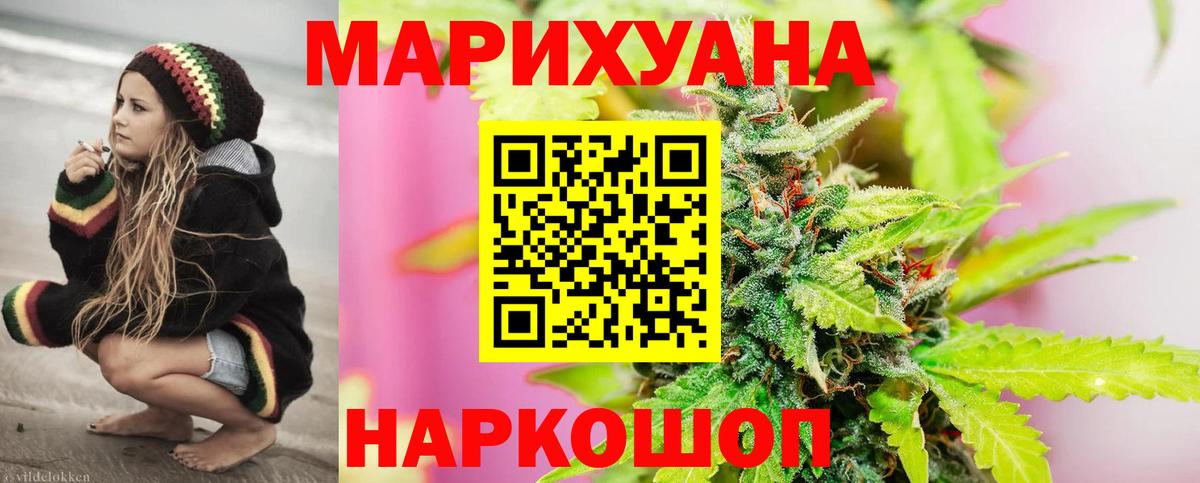 Канабис сатива Пенза